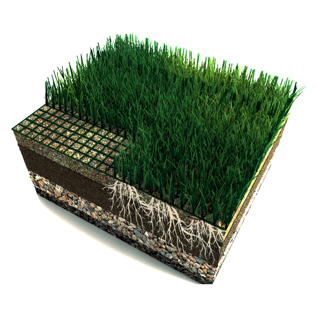 hybrid grass nw
