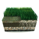hybrid grass nw